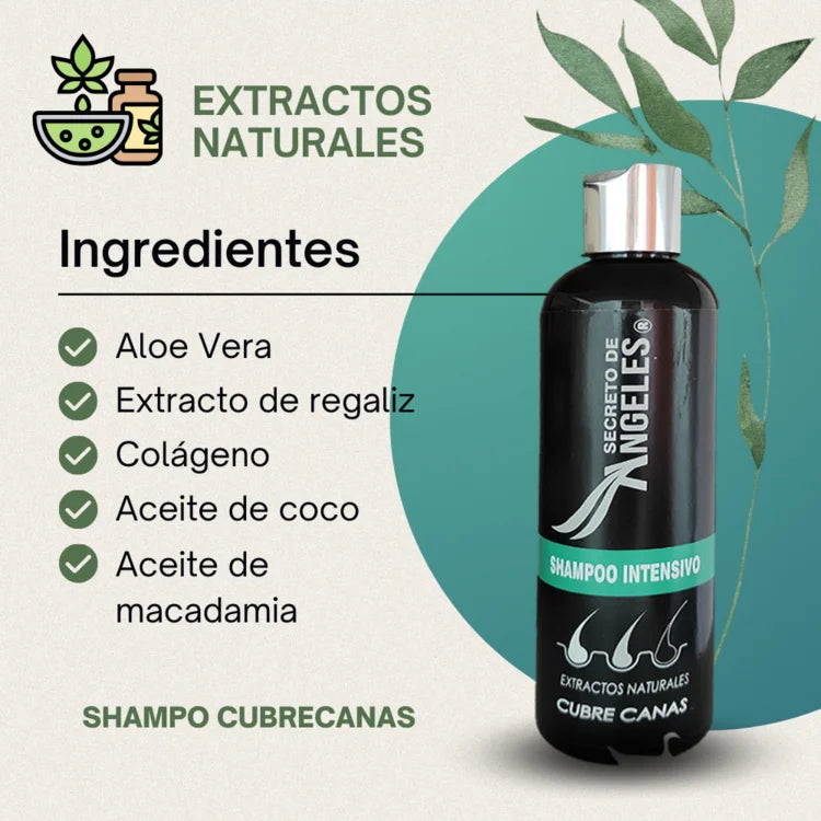 SHAMPOO CUBRE CANAS-SECRETO DE LOS ANGELS